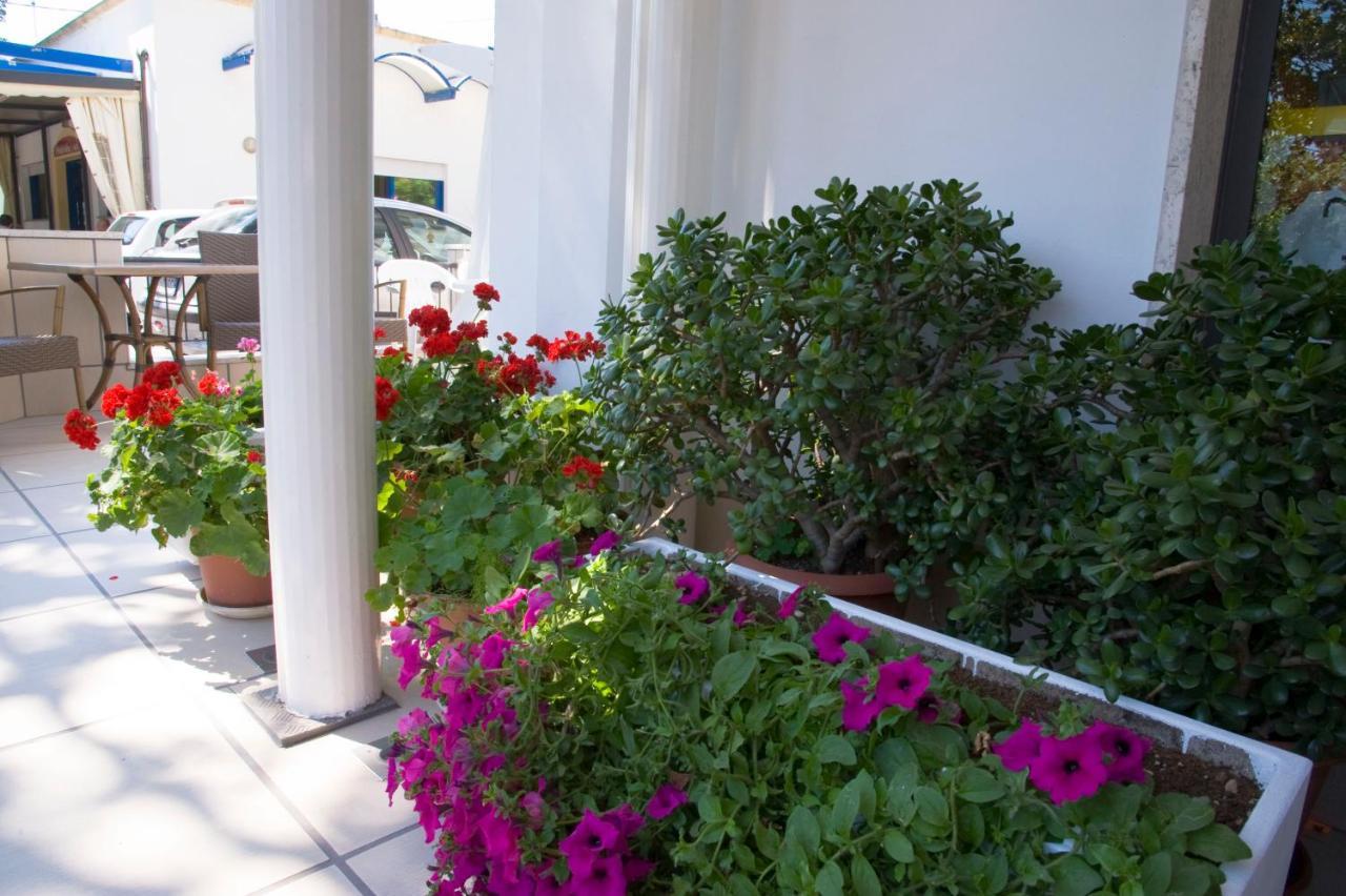 Hotel Maris Stella Риччоне Екстер'єр фото